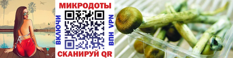 Псилоцибиновые грибы GOLDEN TEACHER  Нариманов 